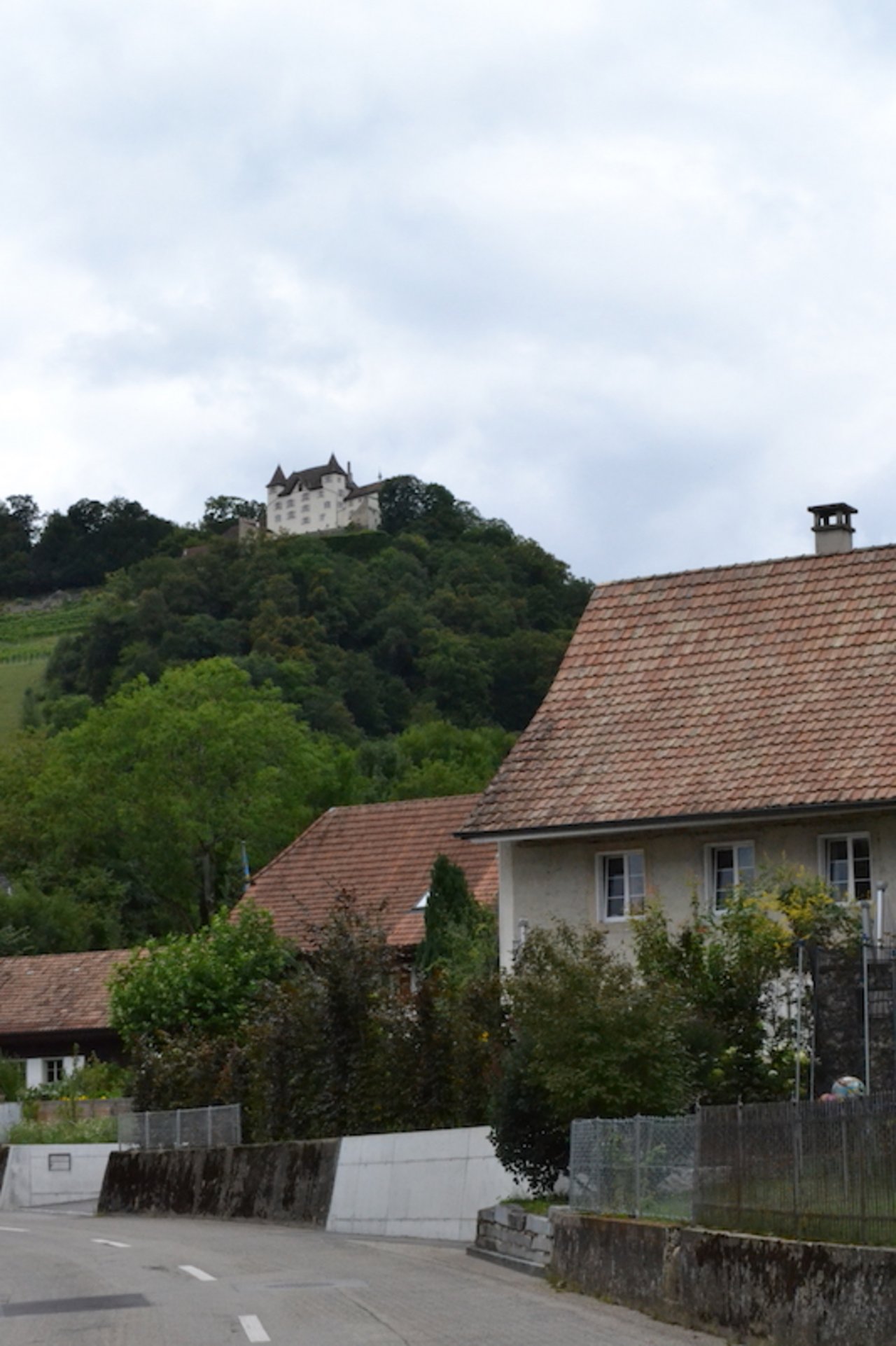 Hoch über Lostorf SO thront die Burg Wartenfels. Unterhalb dieser weitherum sichtbaren Burg wohnt die Familie Lisser.