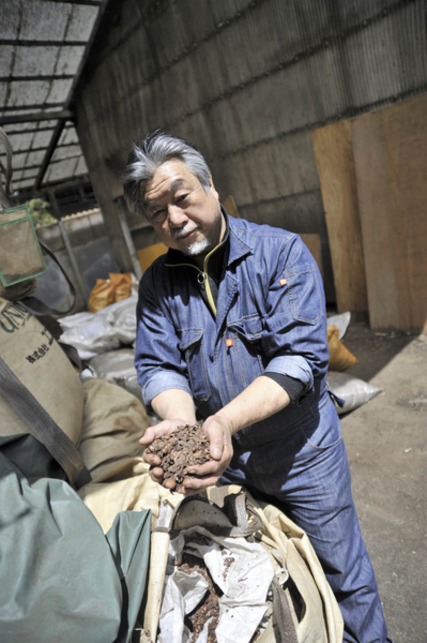 Masanori Isonuma zeigt den Kaffeesatz, der den Kühen als Bodenunterlage dient. 