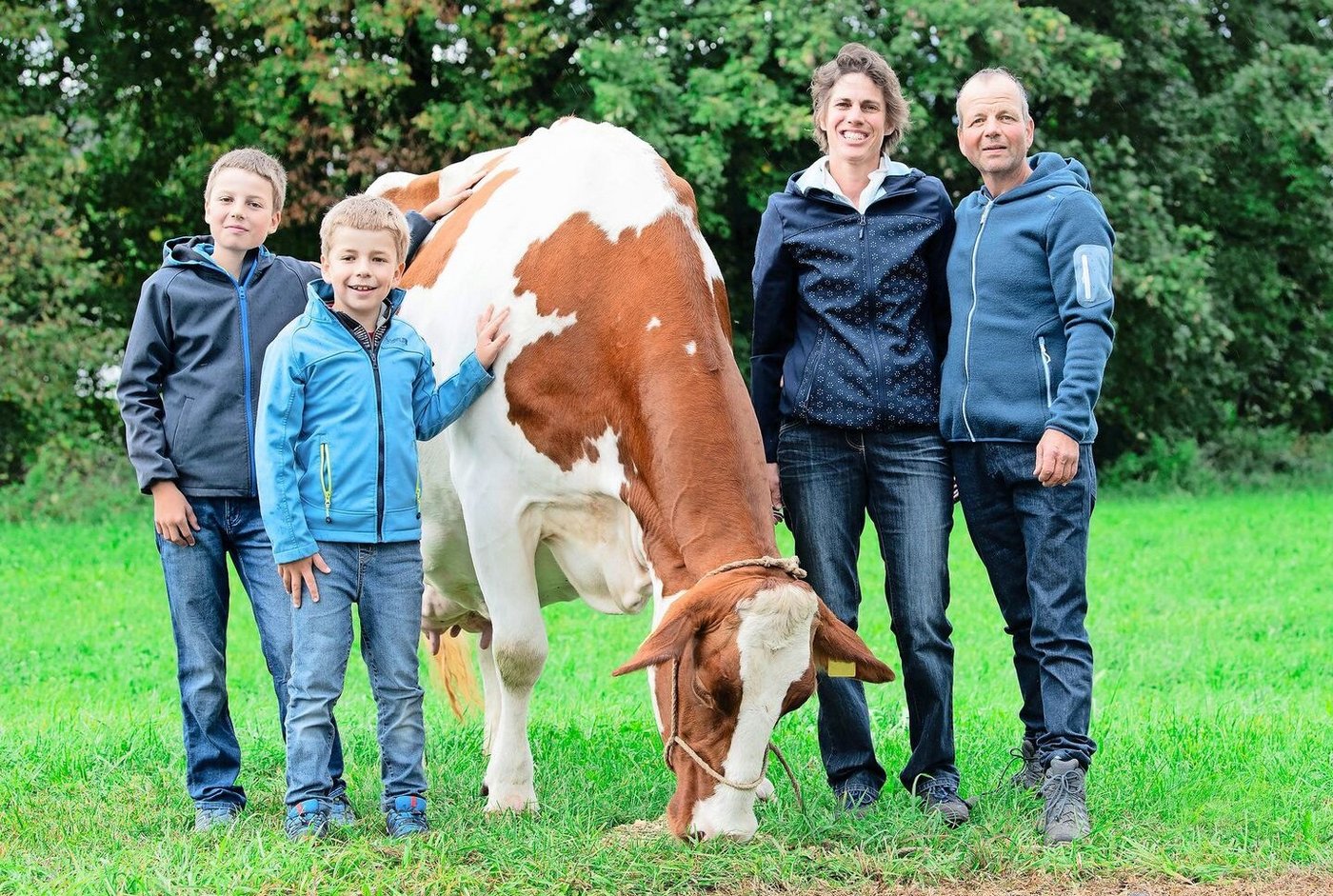 Stammkuh Narita wurde bereits 2024 von Swissherdbook mit einer Goldmedaille ausgezeichnet.