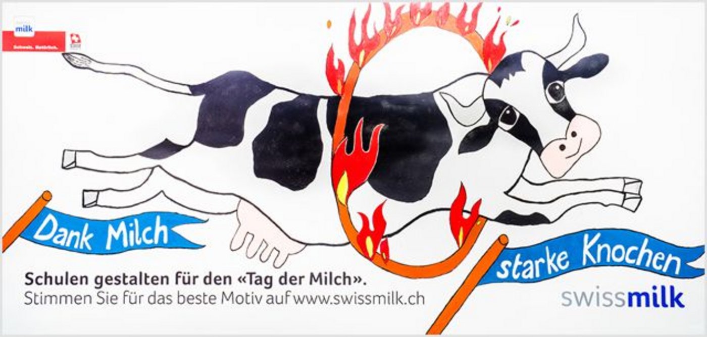 die Schulklasse 3a aus Dottikon AG, ...