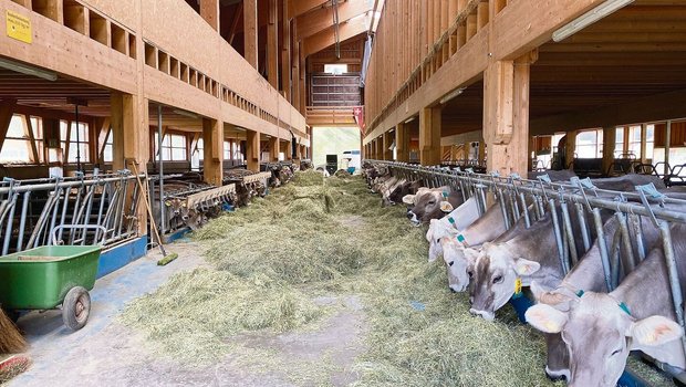 Gerade bei Betrieben mit hohen Leistungen und einer hohen Anzahl Tiere kann es sinnvoll sein, mehrmals jährlich das Raufutter zu überprüfen.