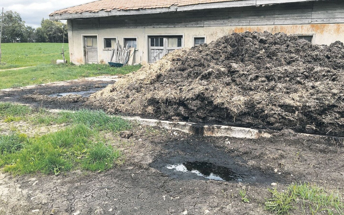 Solche Bilder mit auslaufendem Güllesaft darf es künftig nicht mehr geben. 13 Punkte im Bereich Gewässerschutz werden im Rahmen der ÖLN-Kontrollen überprüft.   