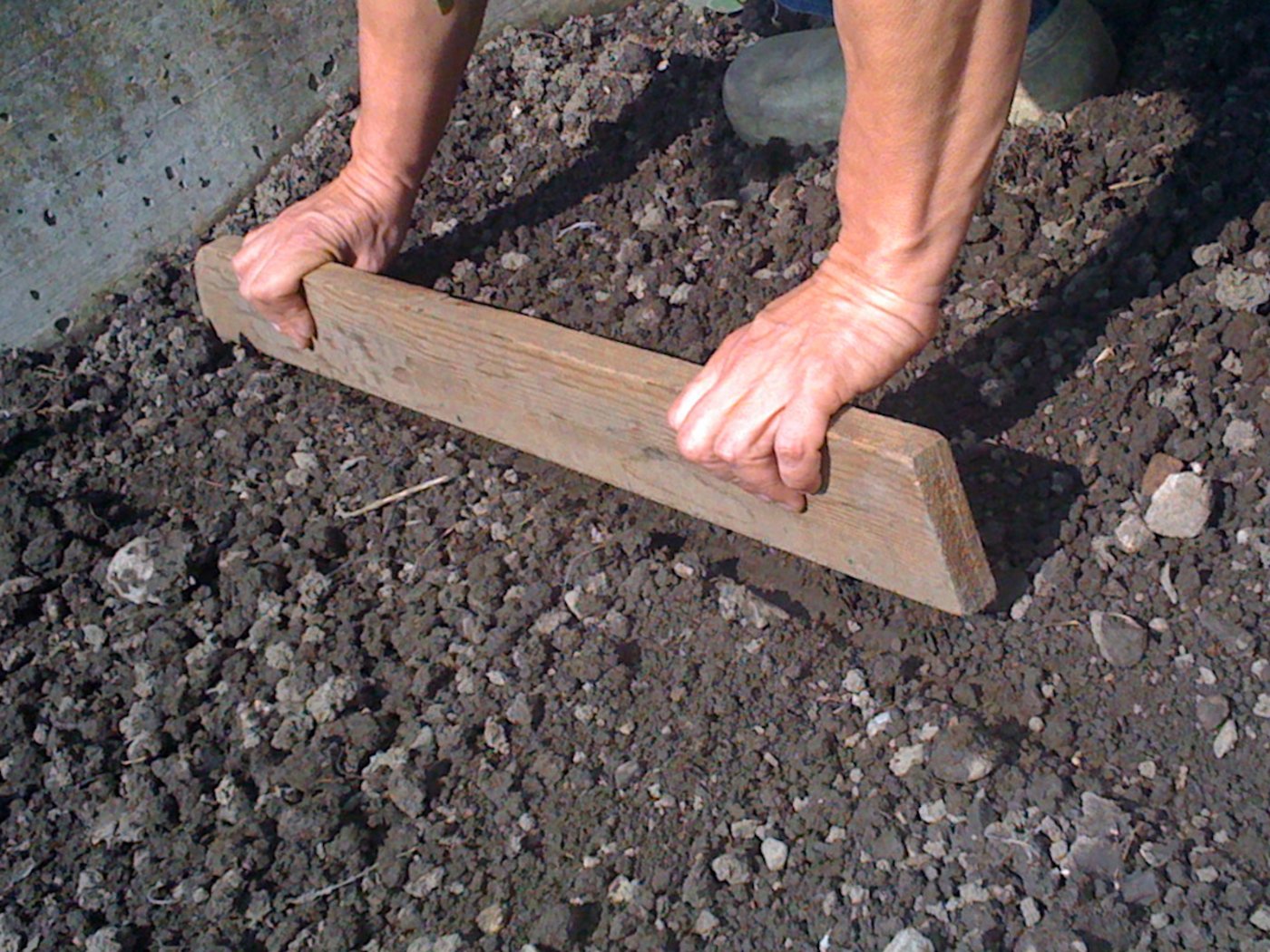 Damit die Samen an Ort bleiben, den Boden vor und nach dem säen mit der schmalen Seite eines Brettes andrücken. (Foto: Eveline Dudda)