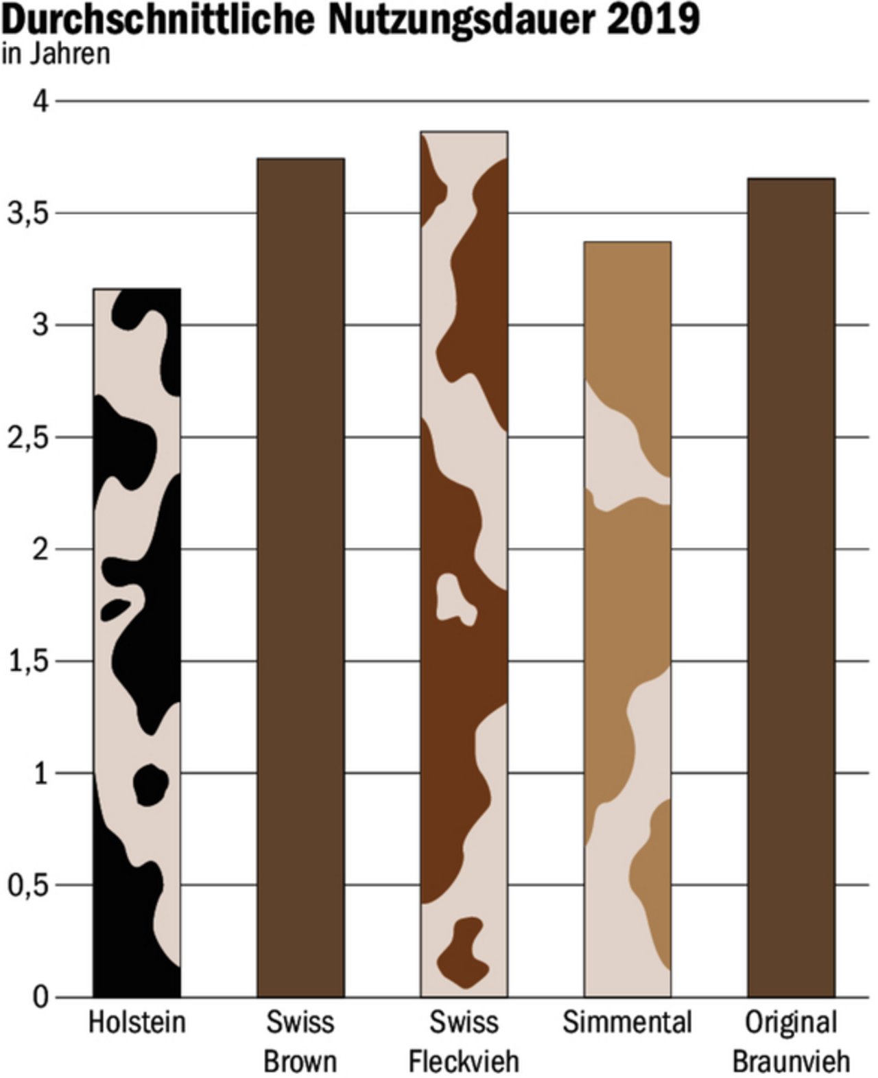 2019 betrug die durchschnittliche Nutzungsdauer der einzelnen Rassen zwischen drei und unter vier Jahren. 