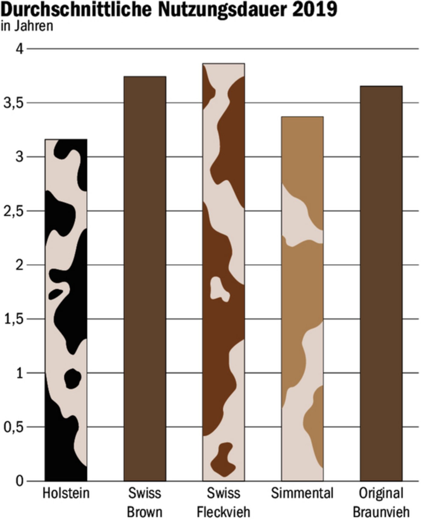 2019 betrug die durchschnittliche Nutzungsdauer der einzelnen Rassen zwischen drei und unter vier Jahren.   
