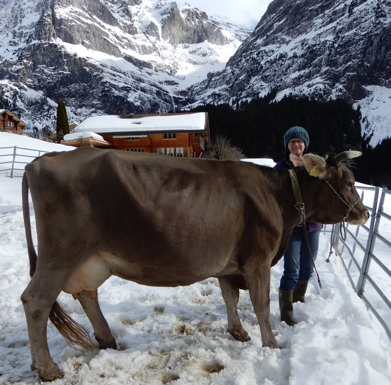 Andrea Suter mit ihrer Kuh Amsel. Dank des neuartigen Eingriffs hat sich Amsel schnell wieder erholt. (Bild pd)