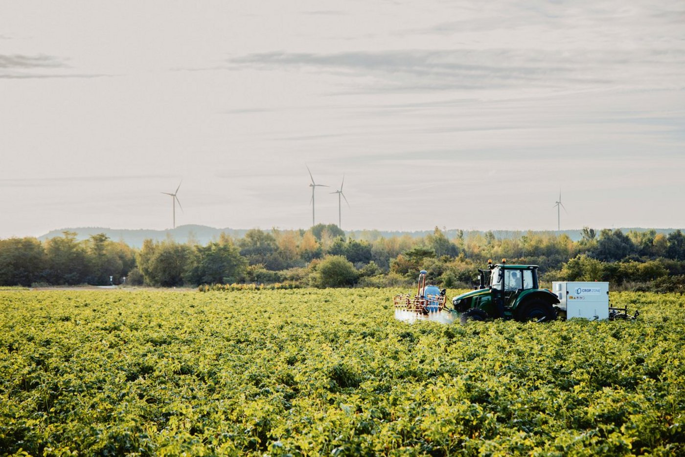 Die Crop-Zone-Technologie bei der Sikkation (Abbrennen) von Kartoffelstauden. Vorne werden die Pflanzen mit einer leichten Salzlösung benetzt und hinten wird die Niederspannung von einem Generator auf die Pflanzen übertragen. (Bild Crop-Zone)
