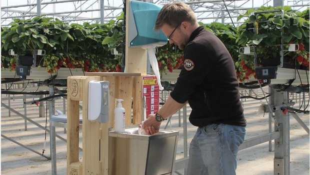 Beerenproduzent Matthias Müller (auf dem Bild) aus Steinebrunn hat bei den erntereifen Beeren eine Handwaschstation für das Personal eingerichtet. (Bild zVg)