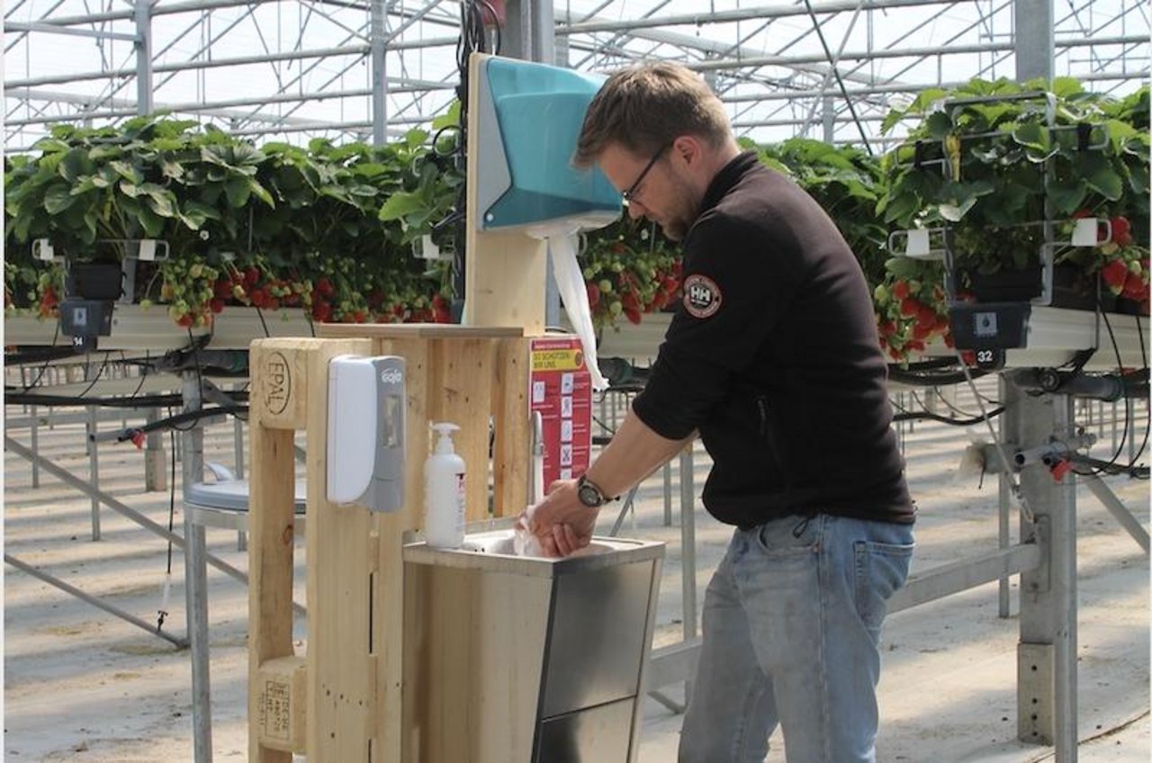 Beerenproduzent Matthias Müller (auf dem Bild) aus Steinebrunn hat bei den erntereifen Beeren eine Handwaschstation für das Personal eingerichtet. (Bild zVg)