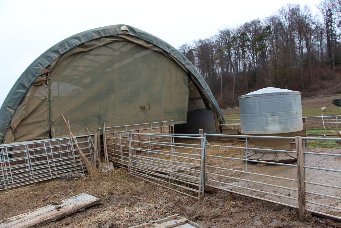 Die Baubewilligung für die Rundbogenzelte wurde nur befristet erteilt. (Bild Hans Rüssli)