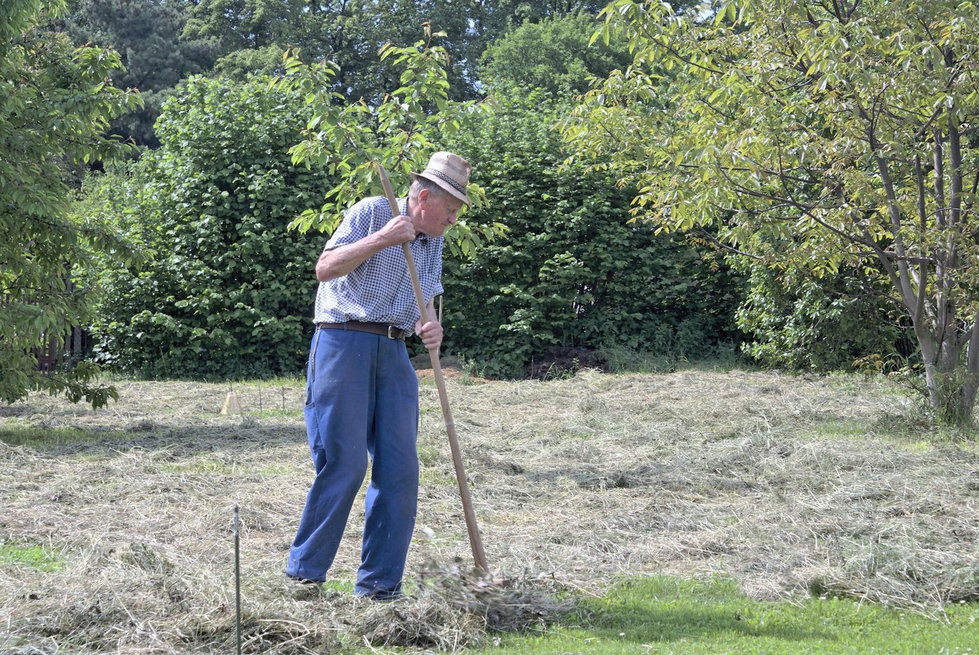 Die US-Farmer sind laut einer Erhebung durchschnittlich 58,3 Jahre alt. (Bild: pixelio, Karl-Heinz Laube)