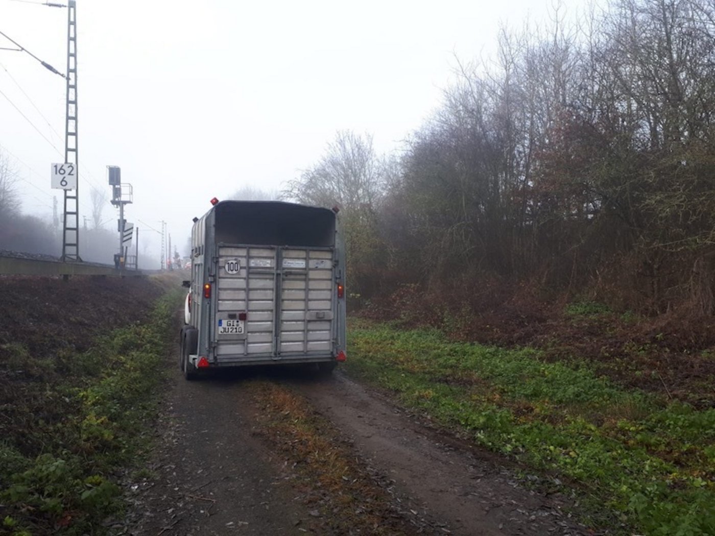 Wieder eingefangen wurde Lotte zurück ins Tierspital gebracht. (Bild Bundespolizei)