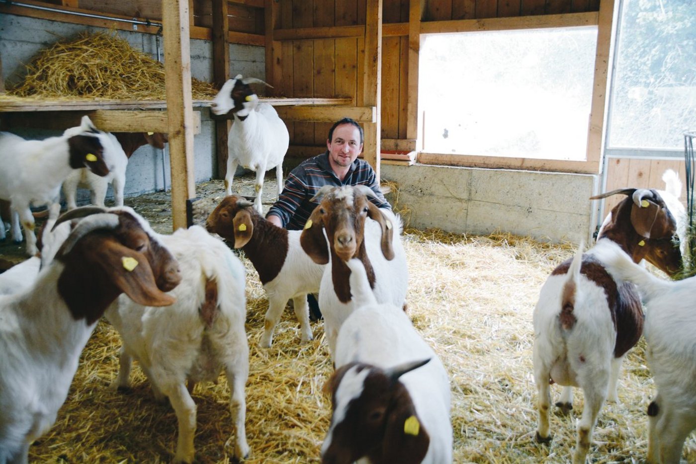 Wendel Loretz ist Präsident des Bauernverbands Uri. Gemeinsam mit Ob- und Nidwalden sucht er eine Geschäftsführung. (Bild ag)