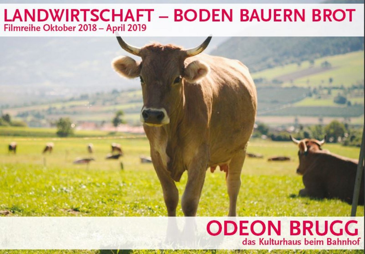 So präsentiert sich der Flyer für die landwirtschaftliche Filmreihe im Odeon in Brugg AG. (Bild zVg)