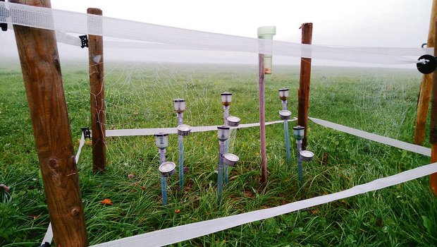 Tensiometerstation in Hohenrain: Damit wird die Bodenfeuchtigkeit gemessen, was Hinweise über den Bodenzustand und damit für die Bewirtschaftung liefert. (Bild Felix Etterlin)