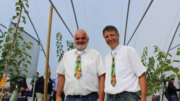 Die beiden Seetaler Obstproduzenten Urs Baur und Robert Siegrist haben die schweizweit grösste Aprikosenanbaufläche unter Folientunnel in Betrieb genomemen. (Bild zVg)