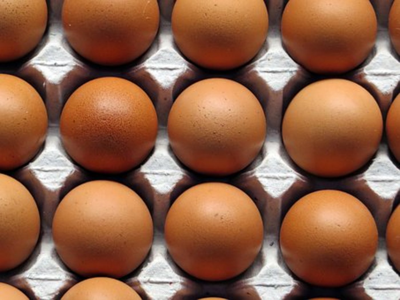 Belgien hat in Bezug auf eine Eierprobe mit gesundheitsgefährdenden Fipronil-Werten neue Vorsichtsmassnahmen angekündigt. (Symbolbild Pixabay)