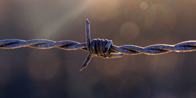 Nicht nur Stacheldraht kann für Tiere gefährlich sein. Im Kanton St. Gallen soll er verboten werden. (Bild Pixabay)