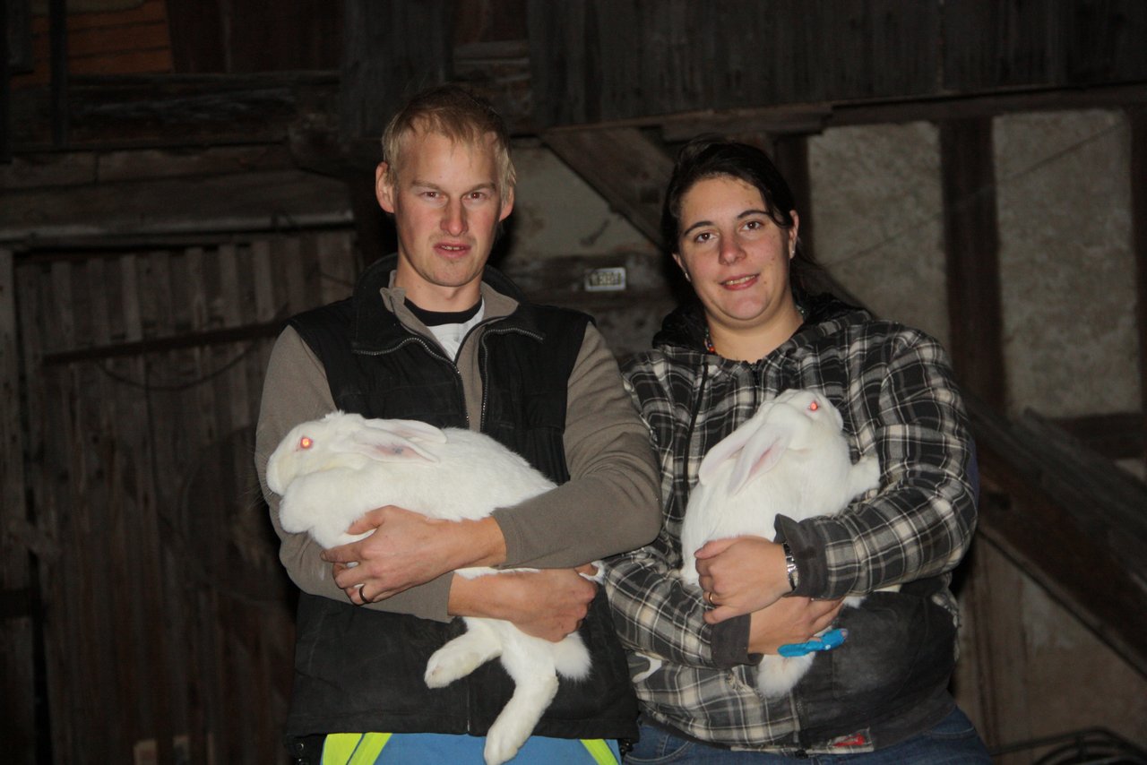 Die Kaninchenhaltung ist für Martina und Hansruedi Ryser-Schlup mehr als ein Hobby. (Bild aw) 