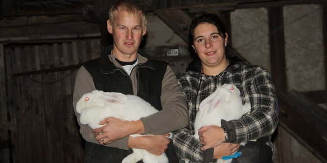 Die Kaninchenhaltung ist für Martina und Hansruedi Ryser-Schlup mehr als ein Hobby. (Bild aw) 