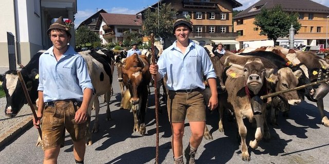 Florian Feuerstein (Mitte) und sein Freund Manuel führen die Gruppe der Rinder an. (Bild Jasmine Baumann)