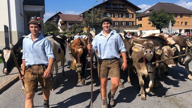 Florian Feuerstein (Mitte) und sein Freund Manuel führen die Gruppe der Rinder an. (Bild Jasmine Baumann)