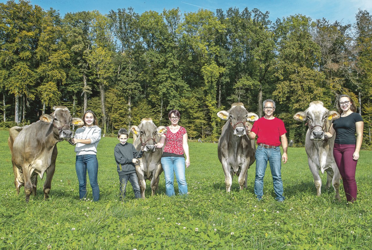 Vier Kühe mit über 100 000 kg Milch von Hanspeter Müller, Muri AG. Wurl Flurina; Denver Luvena; Eagle Luanda und Eagle Elma. Bis jetzt hatte der Betrieb schon vierzehn 100 000er-Kühe.(Bild Braunvieh Schweiz)
