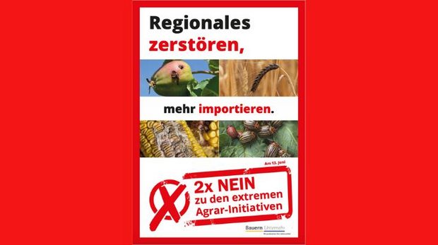 Bei einer Annahme der Pflanzenschutz-Initiativen würden Schweizer Produzenten nicht mehr in der Lage sein, ihre Kulturen vor Schädlingen und Krankheiten zu schützen, so die IG Bauern Unternehmen. (Bild IG Bauern Unternehmen)
