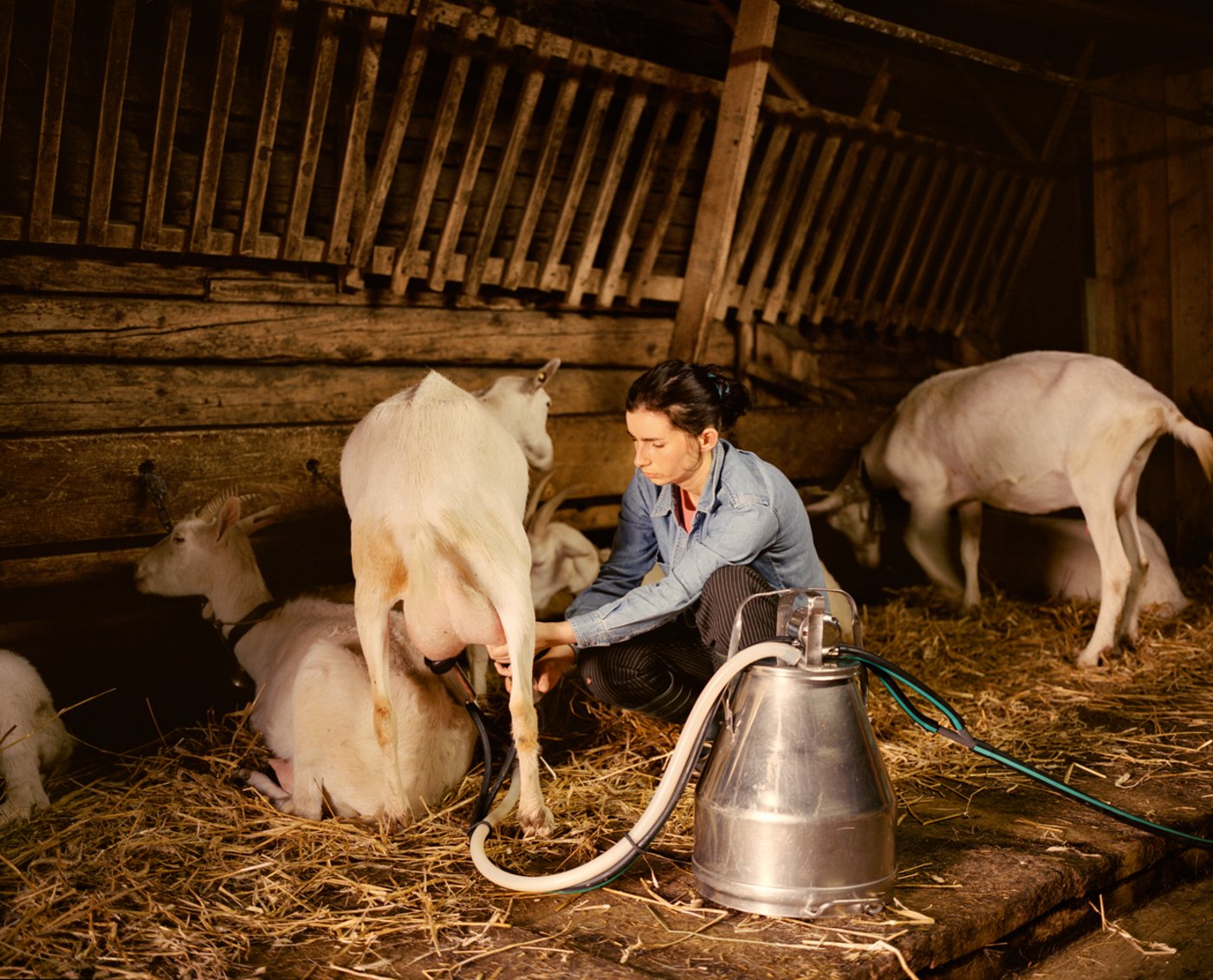 Eine polnische Gastmelkerin auf Alp Langenegg BE. 