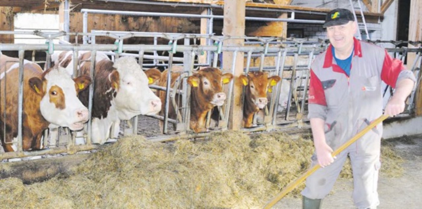 Tony Moos beim morgendlichen Füttern Anfang April. Jetzt sind die Kühe wieder auf der Weide. (Bild Debora Moos)