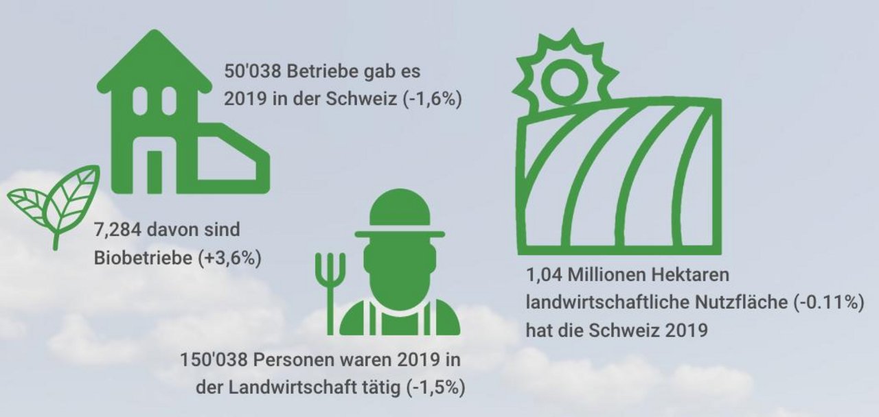 Die Zahlend es Bundesamts für Statistik zeigen die Trends in der Schweizer Landwirtschaft. (Bild lid)