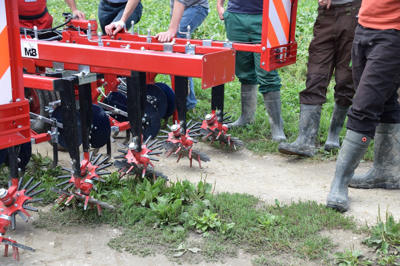 Der Flurgang brachte Praktiker, Forscher, Vertreter und Interessierte alle an denselben Tisch - oder an das Hackgerät. (Bild BauernZeitung/Sera J. Hostettler)