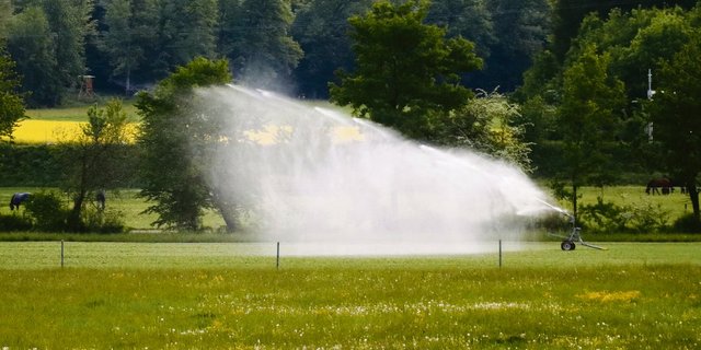 Eine App soll für Entscheidungshilfen für intelligente Bewässerung weiterentwickelt werden. (Symbolbild rae)