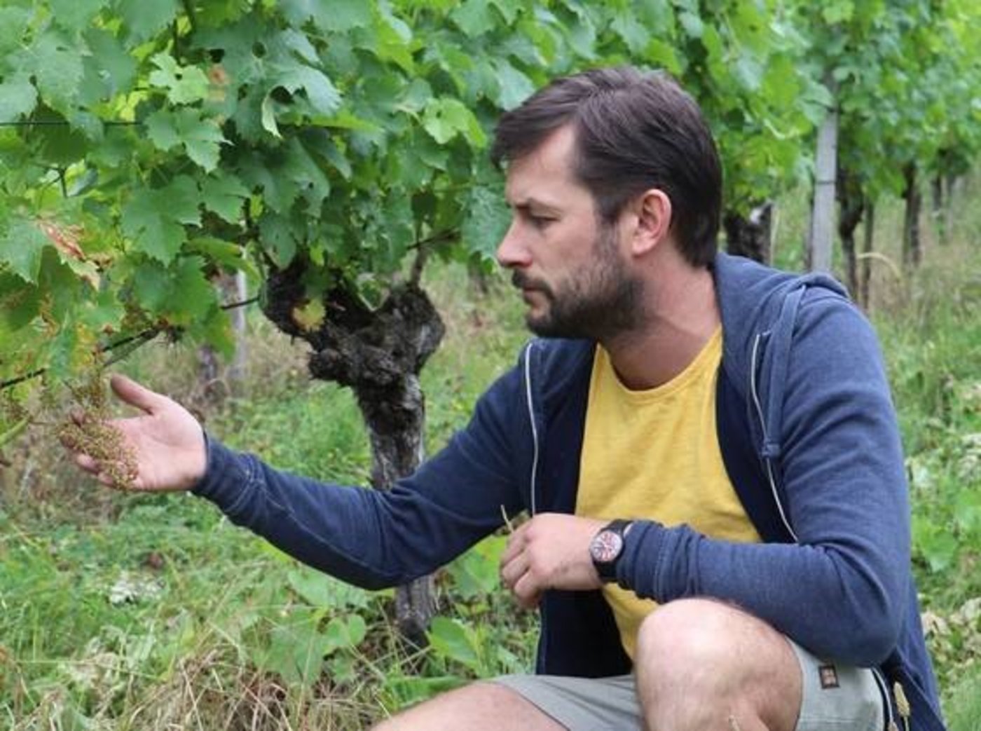 Der neue BDW-Geschäftsführer tritt die Stelle 2020 an. (Bild BDW)