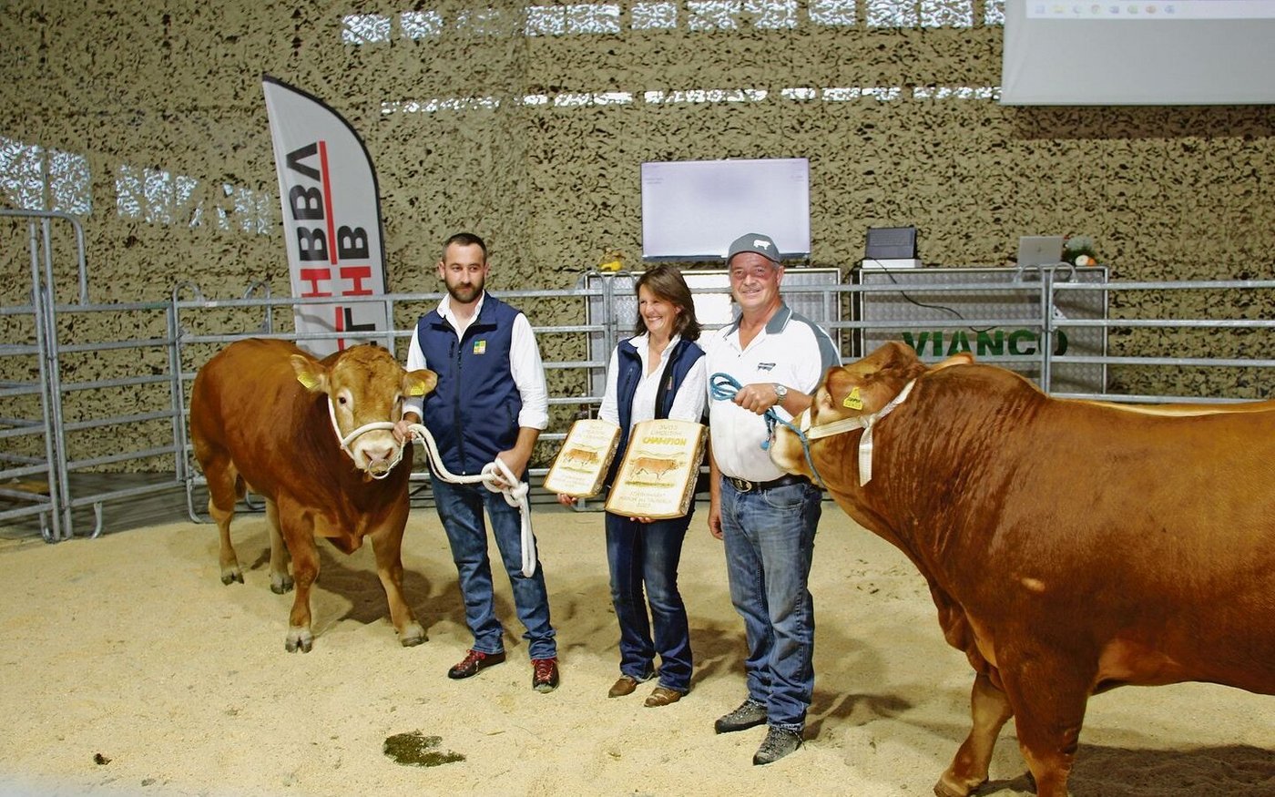 Vizechampion Anton Annen Lm (l.) wurde für Fr. 7000.– versteigert. Der Verkaufspreis beim Champion Burris Cooper (r.) lag darunter.