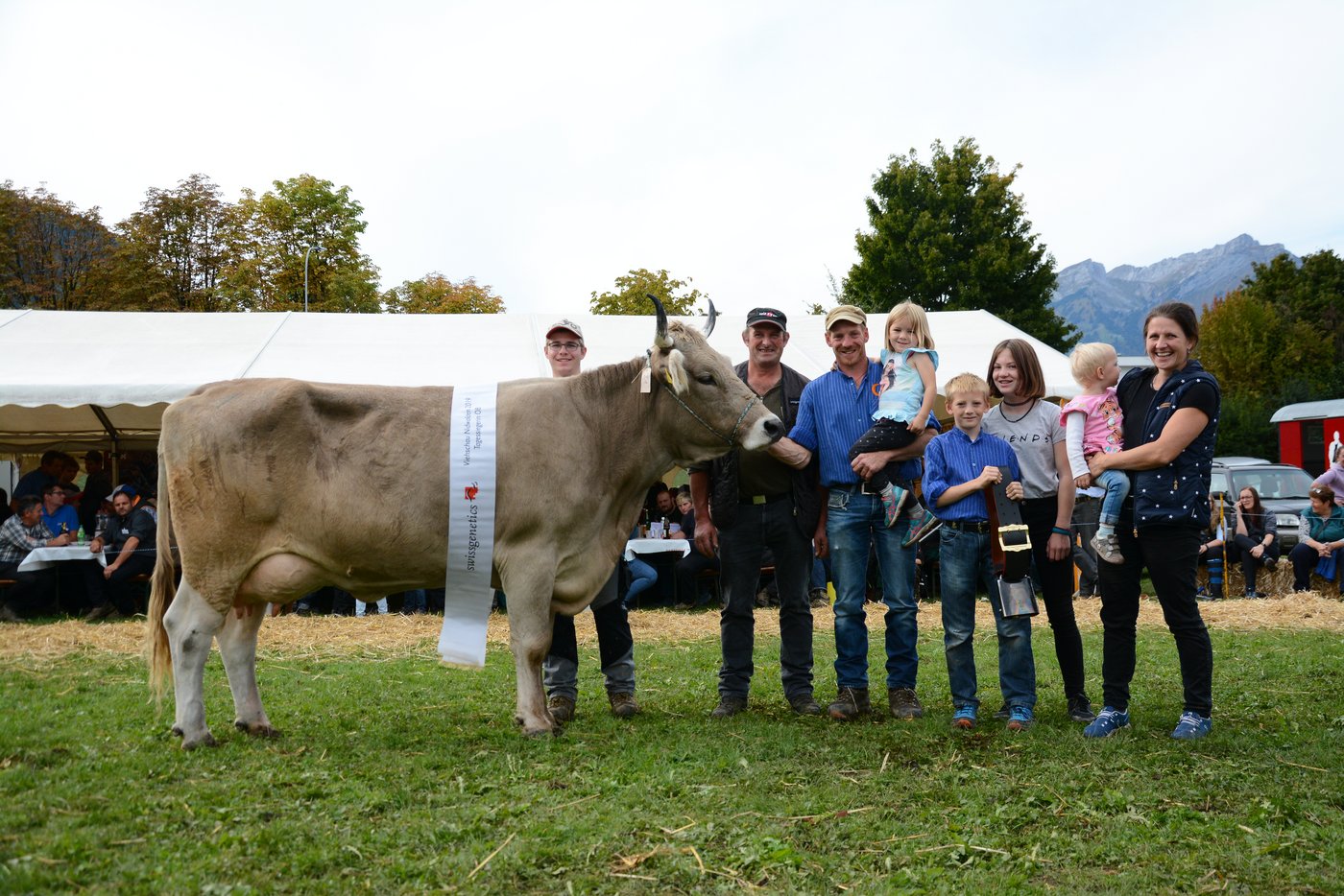 Miss Original Braunvieh wurde Rino Rivella von Andreas Käslin, Ennetmoos.
