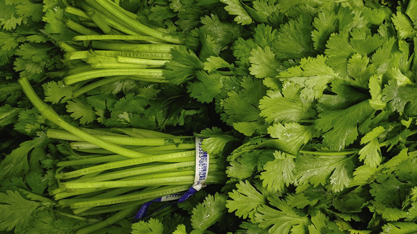 Viele Leute mögen Koriander nicht. Und Sie? (Bild Alimentarium)