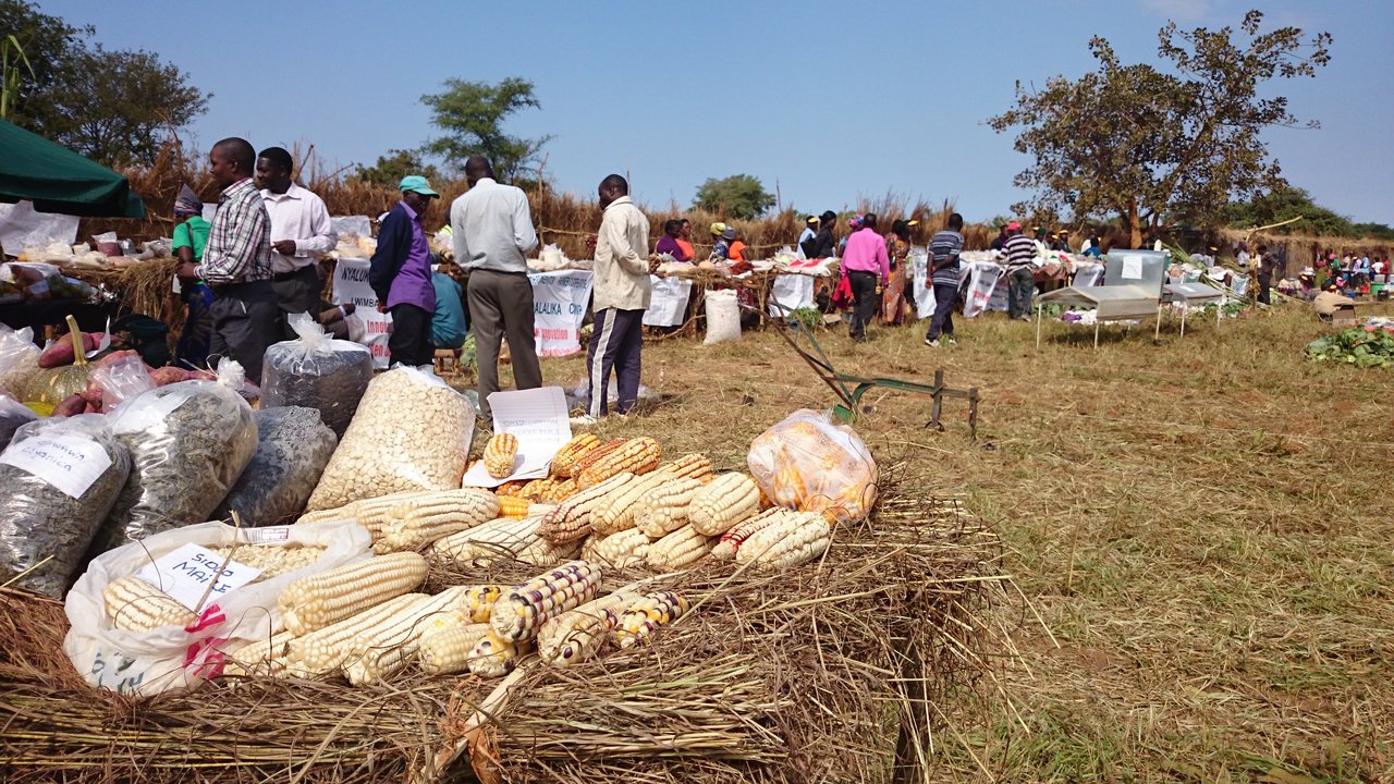 An der „Agricultural Show“ in Lwimba...