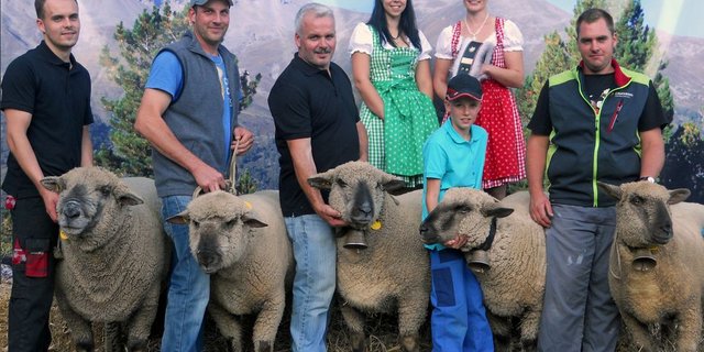 Der Schafzuchtverein Flums-Grossberg konnte den Genossenschaftscup beim Braunköpfigen Fleischschaf für sich entscheiden. (Bild: Mathias Rüesch)