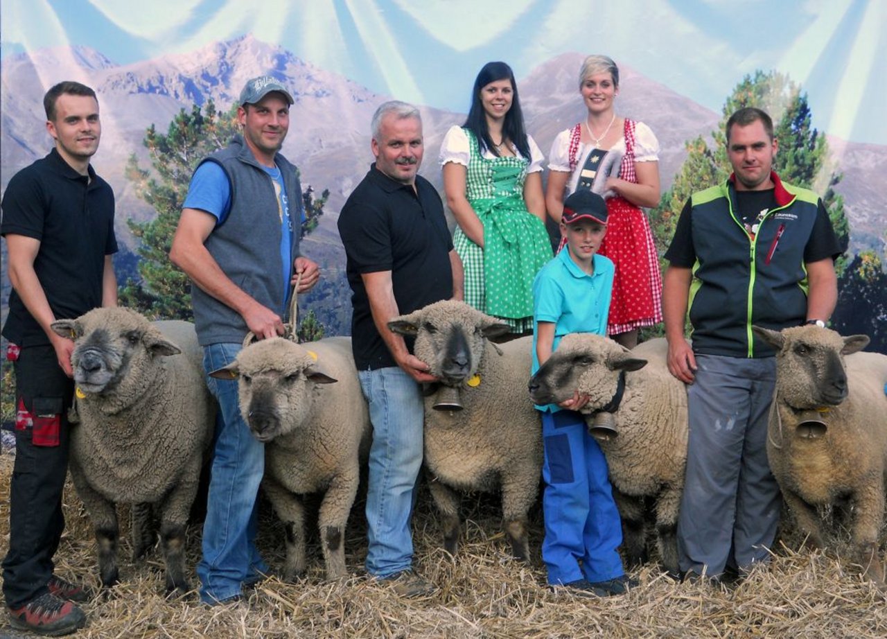 Der Schafzuchtverein Flums-Grossberg konnte den Genossenschaftscup beim Braunköpfigen Fleischschaf für sich entscheiden. (Bild: Mathias Rüesch)