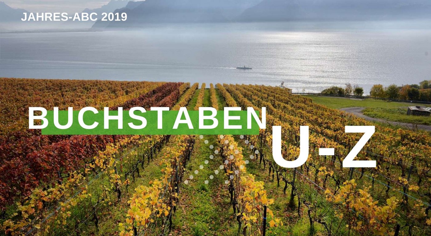 Jahresrückblick 2019 - Buchstaben U-Z (Bild BauZ)