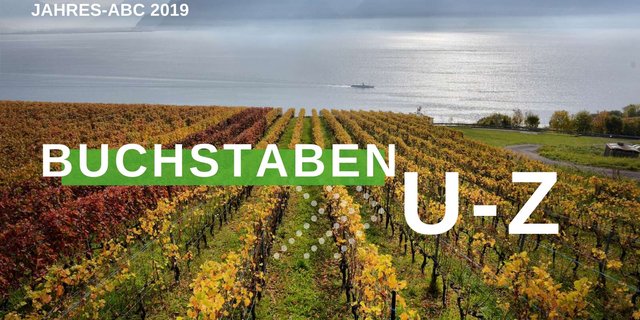 Jahresrückblick 2019 - Buchstaben U-Z (Bild BauZ)