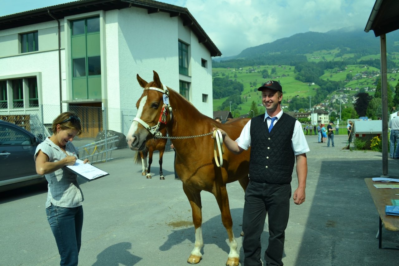 Judith Diethelm, die Sekretärin des Freiberger-Zuchtverbandes, nimmt die Signalemente zum Eintrag in das Pferderegister auf. (Bild Paul Küchler)