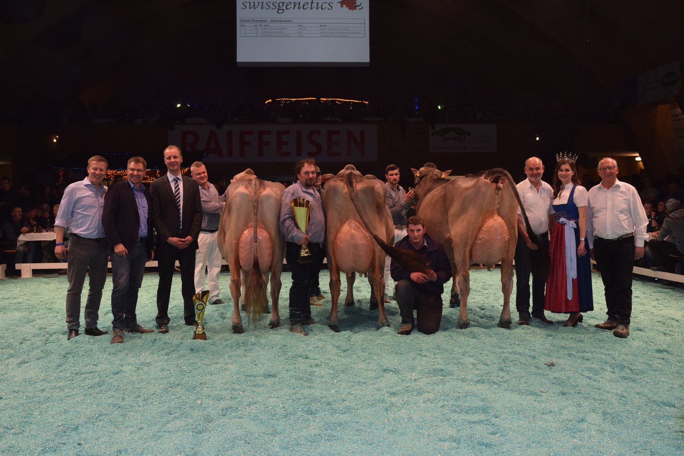 Das Siegerbild: Champion Assmira (Mitte) wird flankiert von der Vize-Champion Erina (rechts) und der drittplatzierten Beverly.