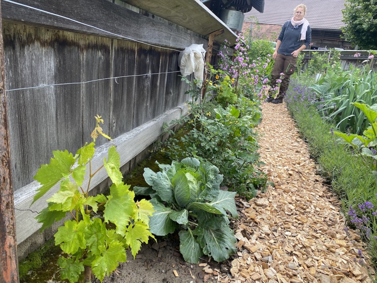 Am unteren Gartenrand, entlang des hölzernen Zauns, hat Anina Marbot ein buntes Sammelsurium verschiedener Gemüsesorten gepflanzt. 