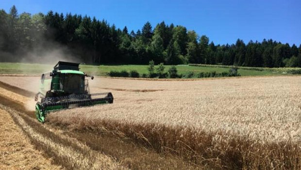 Die Agrarallianz sieht die AP22+ als Übergangs-Programm zu mehr Eigenverantwortung. (Dominik Binder/landwirtschaft.ch)