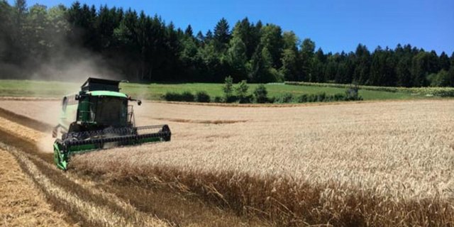 Die Agrarallianz sieht die AP22+ als Übergangs-Programm zu mehr Eigenverantwortung. (Dominik Binder/landwirtschaft.ch)