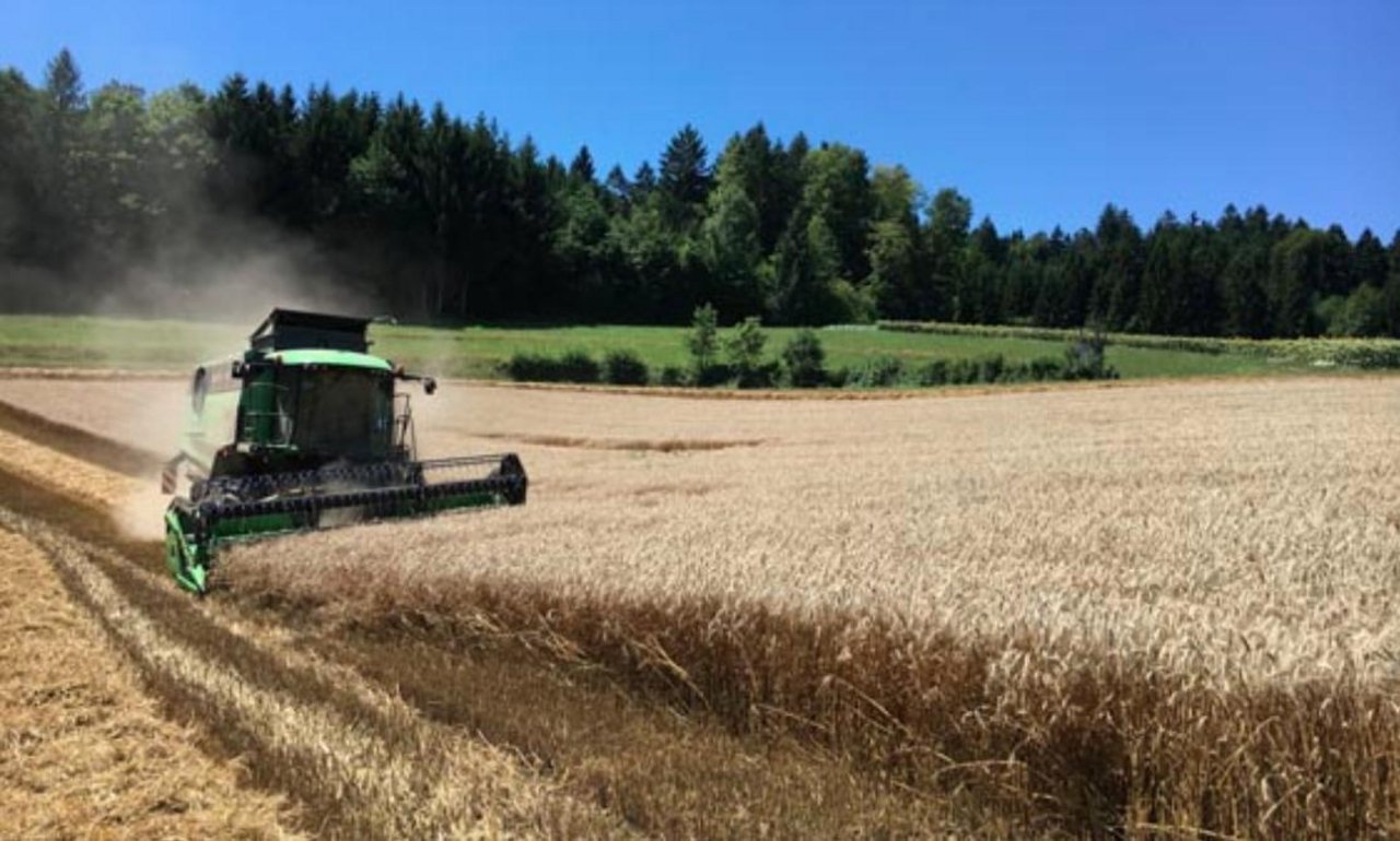 Die Agrarallianz sieht die AP22+ als Übergangs-Programm zu mehr Eigenverantwortung. (Dominik Binder/landwirtschaft.ch)