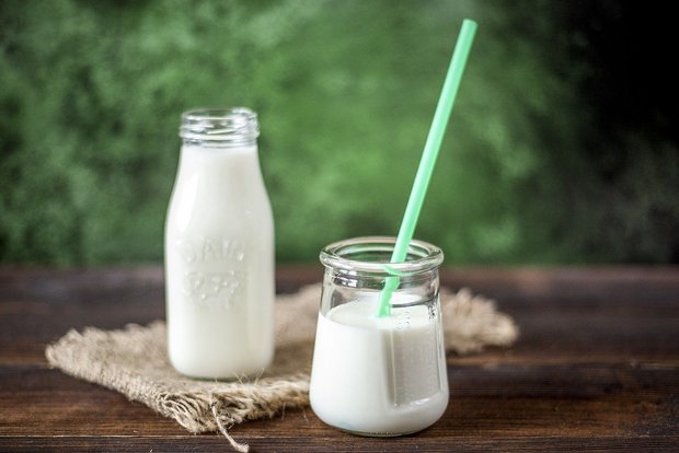 Echte Milch ohne Kühe – das ist die Vision des Biotech-Start-Ups TurtleTree Labs. (Symbolbild Pixabay)