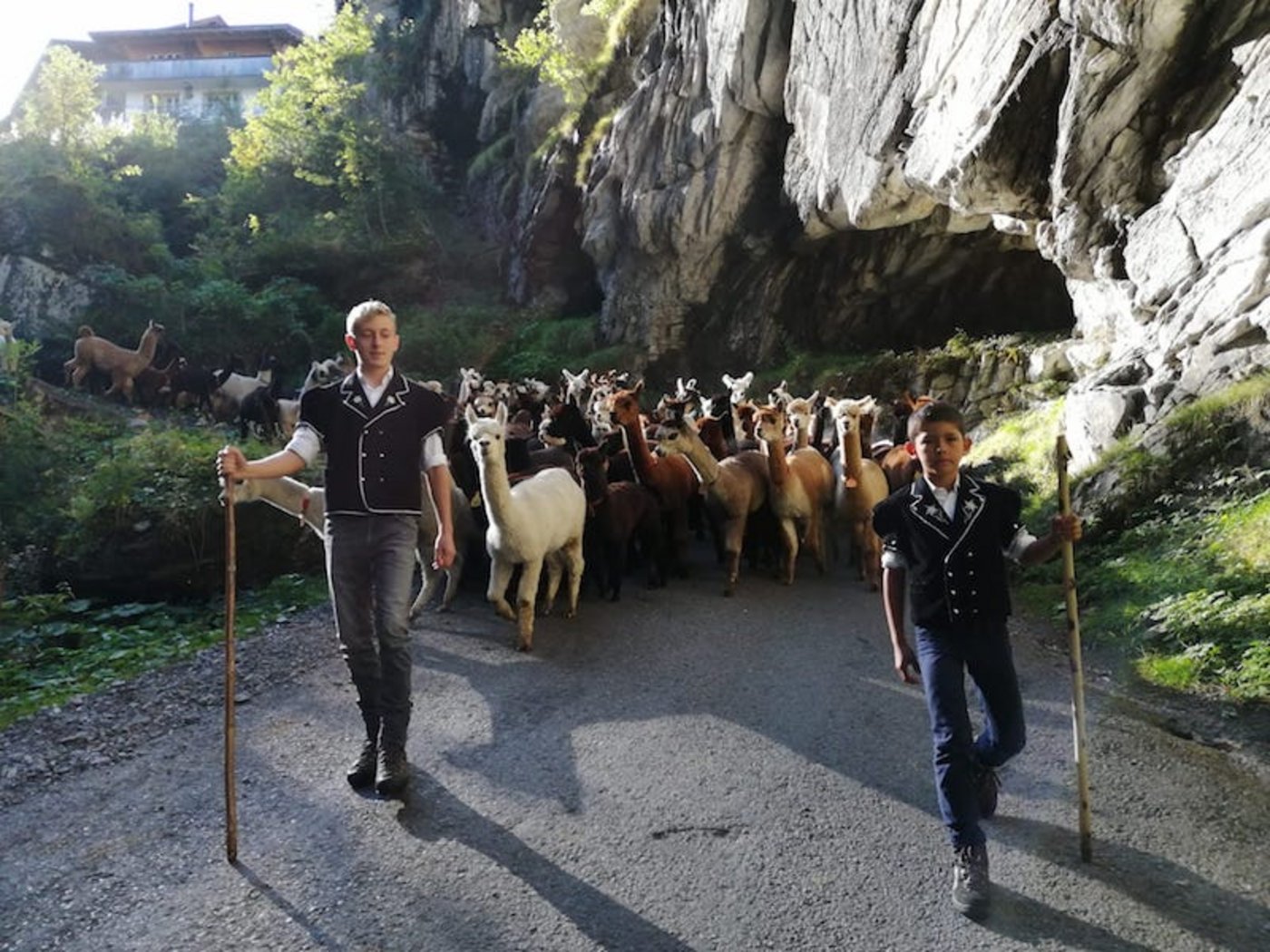 Rund eineinhalb Stunden dauerte der Abstieg.